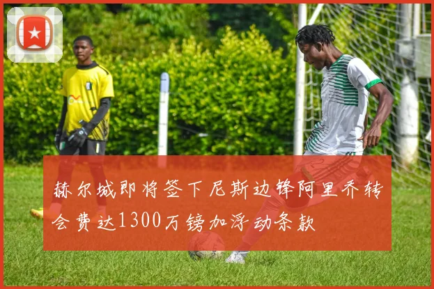 赫尔城即将签下尼斯边锋阿里乔转会费达1300万镑加浮动条款