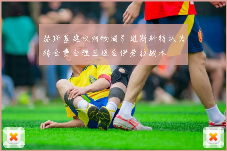 赫斯基建议利物浦引进斯科特认为转会费合理且适合伊劳拉战术